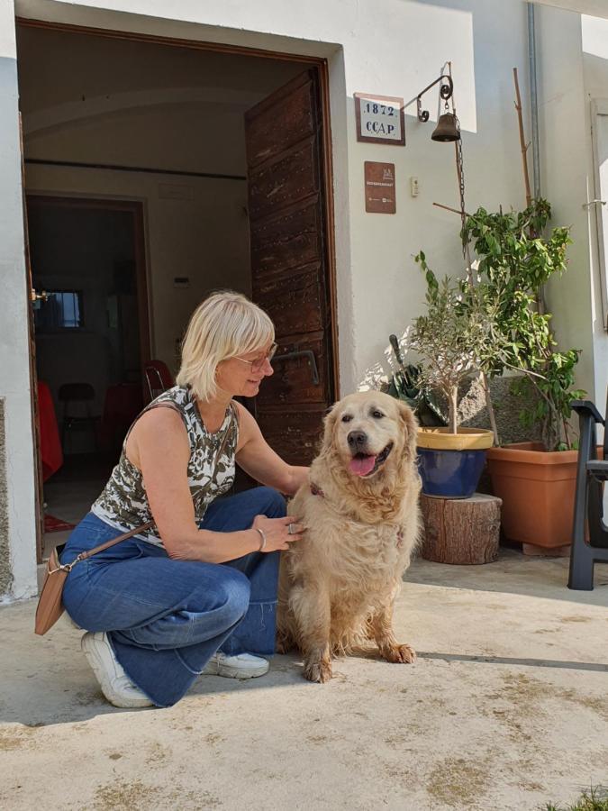 Il Casolare Del Medio Olona Bed & Breakfast Fagnano Olona Luaran gambar