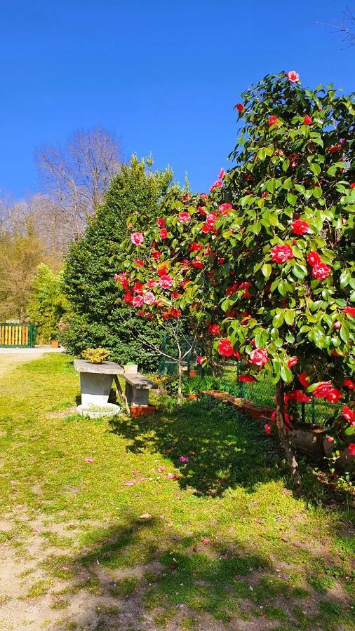 Il Casolare Del Medio Olona Bed & Breakfast Fagnano Olona Luaran gambar